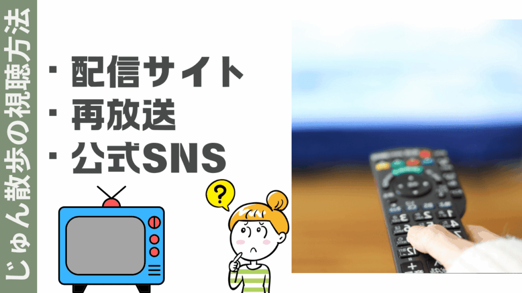 じゅん散歩の視聴方法