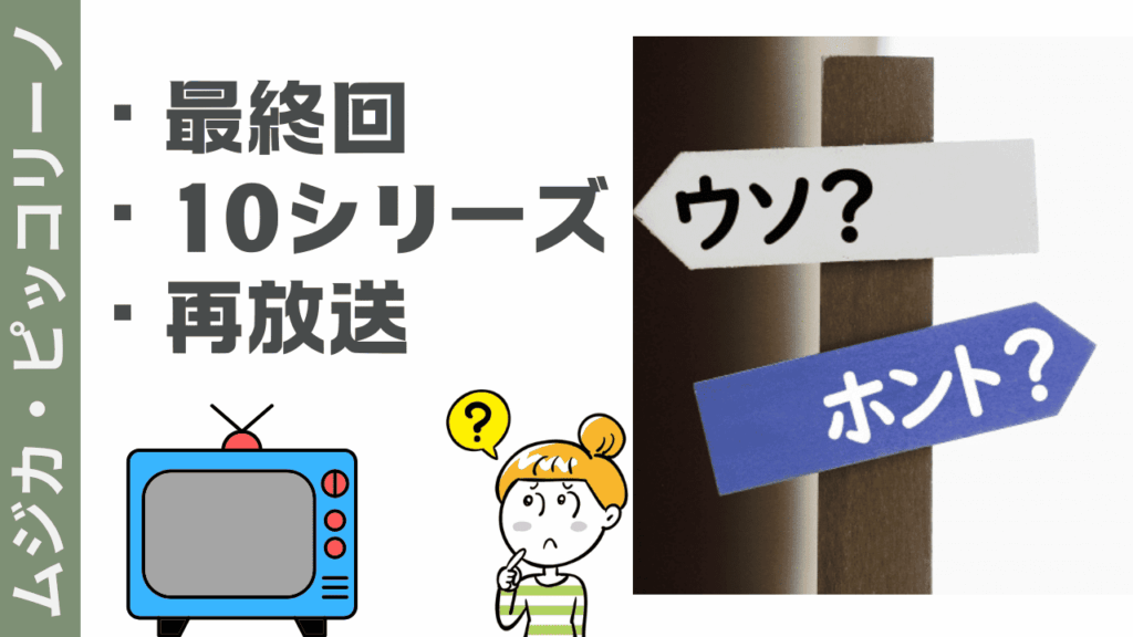 ムジカ・ピッコリーノの現状