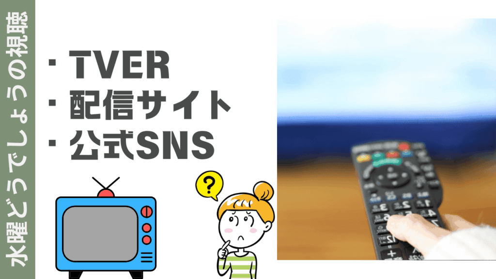 水曜どうでしょうの視聴方法