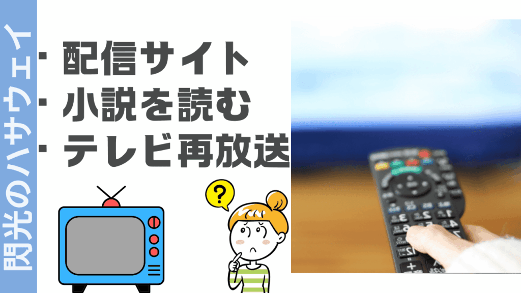 閃光のハサウェイの視聴方法