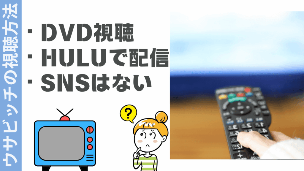 ウサビッチの視聴方法