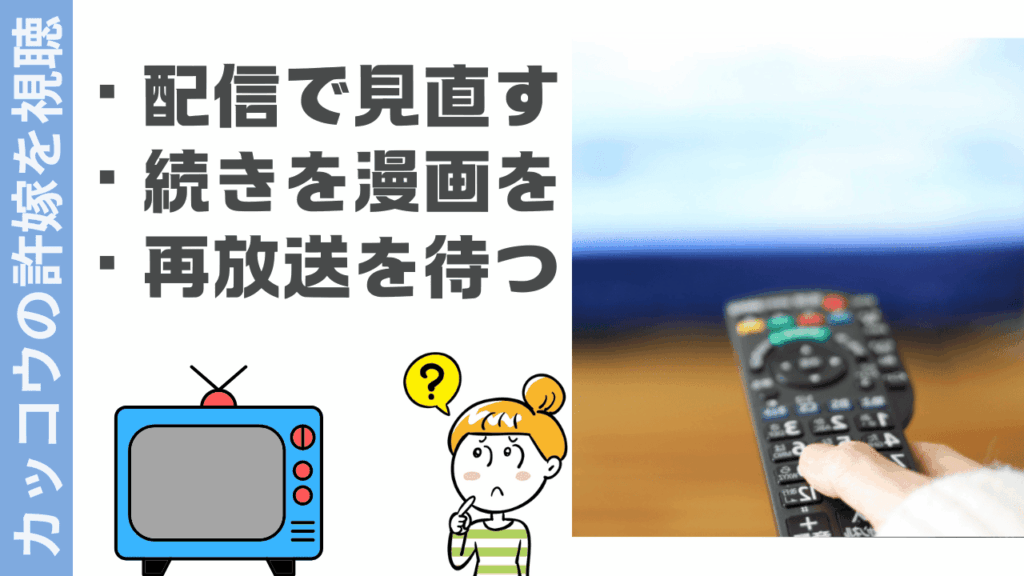 カッコウの許嫁の視聴方法