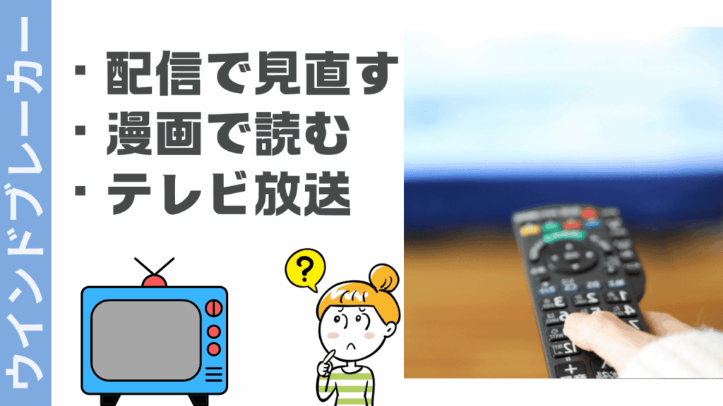 ウインドブレーカーの視聴方法
