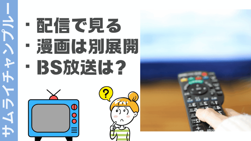 サムライチャンプルーの視聴方法