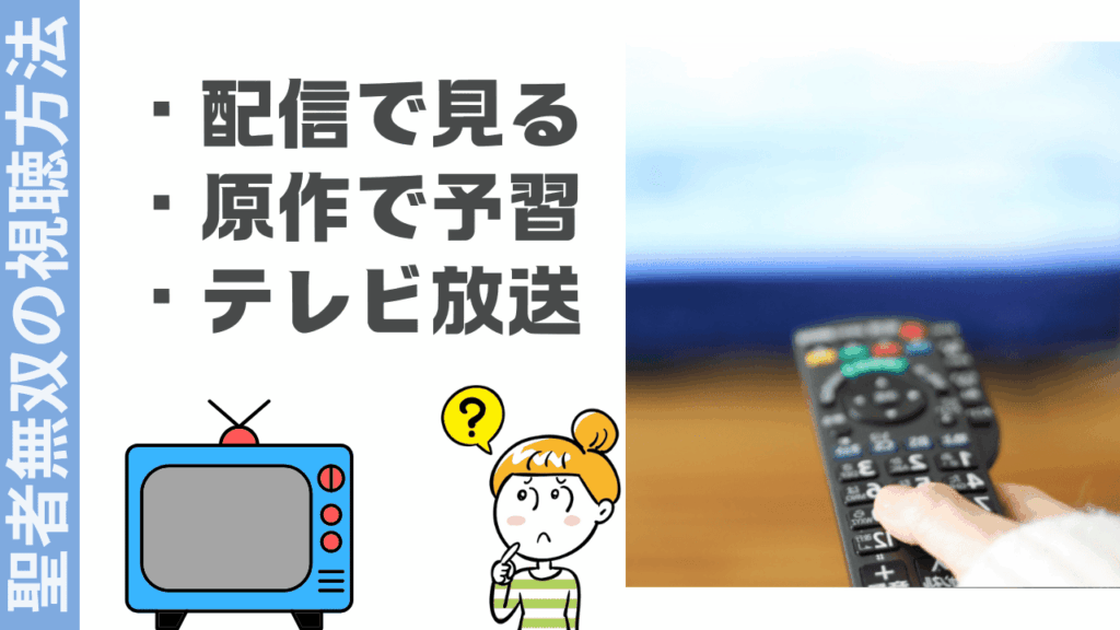 聖者無双の視聴方法