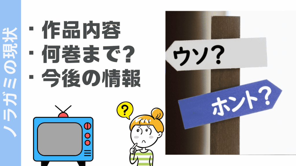 ノラガミの現状