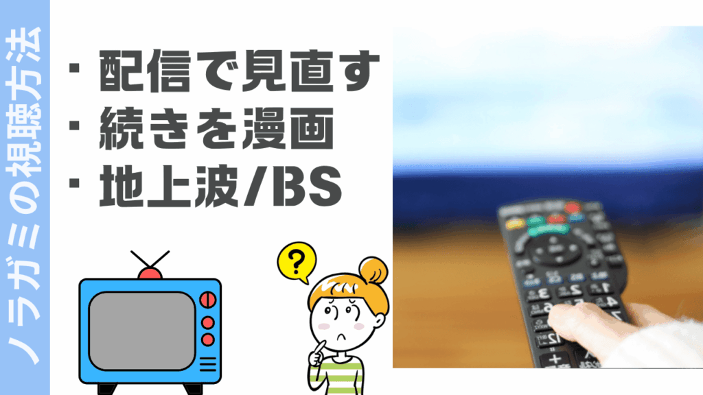 ノラガミの視聴方法